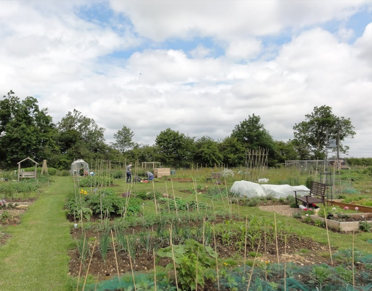 Allotments